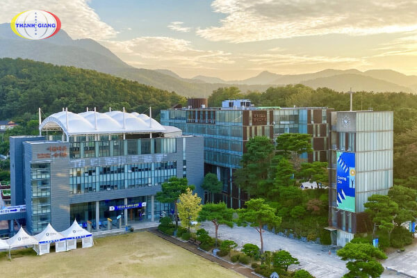 Anyang University