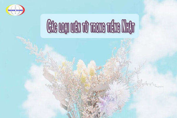 Các loại liên từ trong tiếng Nhật Các loại liên từ trong tiếng Nhật