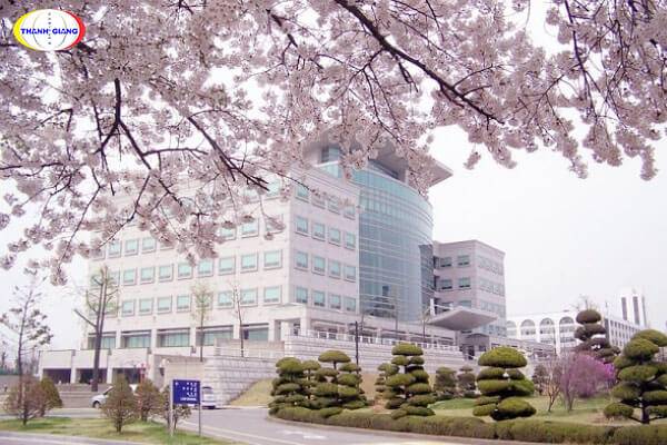 THAM KHẢO THÊM những trường đại học gần Seoul học phí thấp