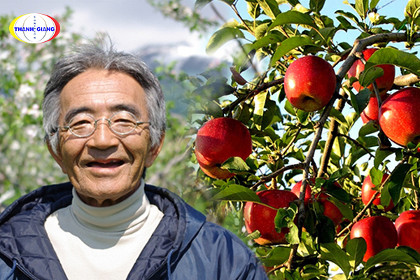 Câu chuyện về Quả táo thần kỳ của Kimura