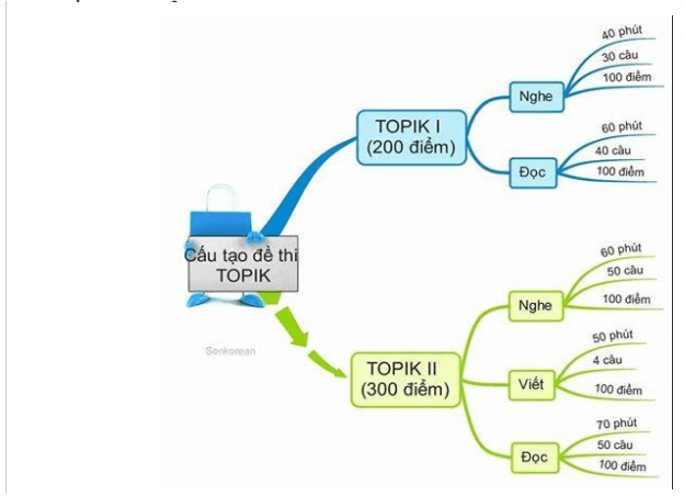 cấu tạo đề thi topik