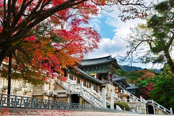 Cảnh đẹp Seoul - Khám phá Seoul Hàn Quốc qua những địa điểm du lịch nổi tiếng