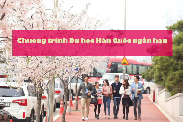 Chương trình du học Hàn Quốc ngắn hạn