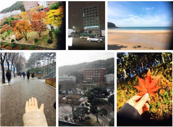 cuộc sống tươi đẹp của c&ocirc; g&aacute;i tại H&agrave;n Quốc