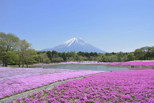 Công viên Hitsujiyama
