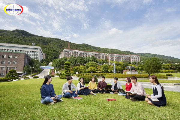 Chương trình đào tạo tại Daejin University