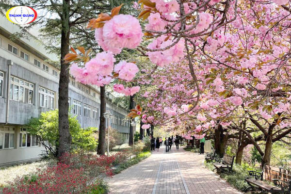 Chương trình Học bổng - Học phí