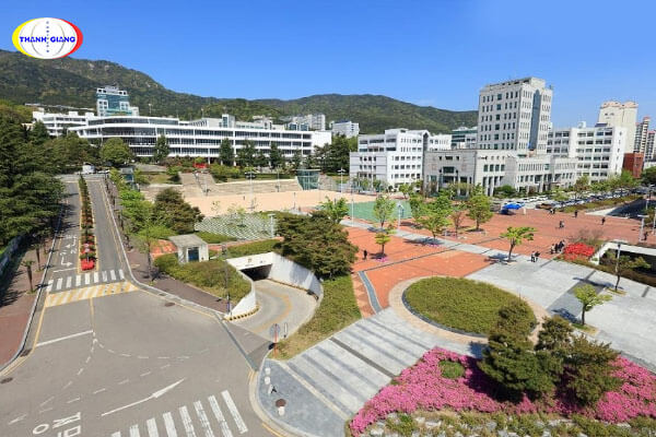 Tìm hiểu về trường Đại học Quốc gia Busan