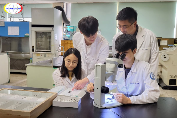 Chương trình đào tạo của Đại học Kosin Hàn Quốc