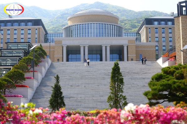 Chương trình đào tạo của trường Đại học Ngoại ngữ Busan
