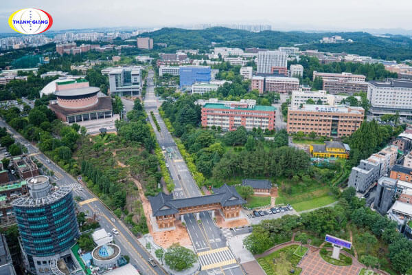 Chương trình đào tạo của trường Đại học Chonbuk