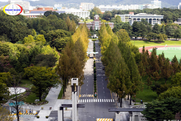 Tìm hiểu về trường Đại học Chonnam