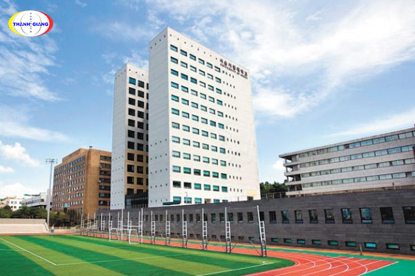 Chương trình đào tạo của Đại học Seoul Sirip