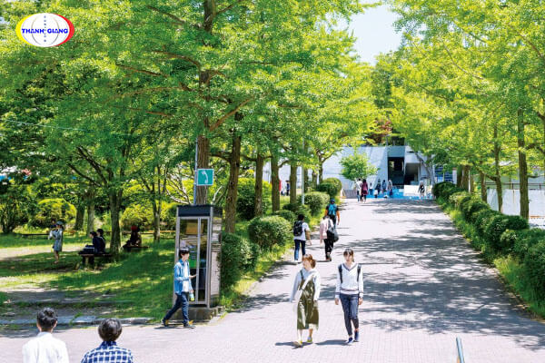 Các chương trình đào tạo của trường Đại học Shizuoka