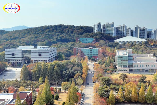 Chương trình Học bổng - Học phí Đại học Suwon Hàn Quốc