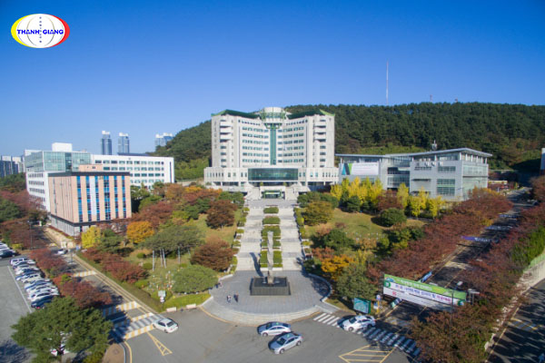 tìm hiểu về trường đại học Tongmyong
