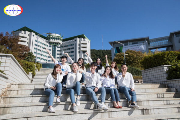 Chương trình đào tạo của trường Đại học Tongmyong