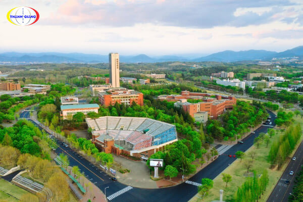  Đại học Yeungnam
