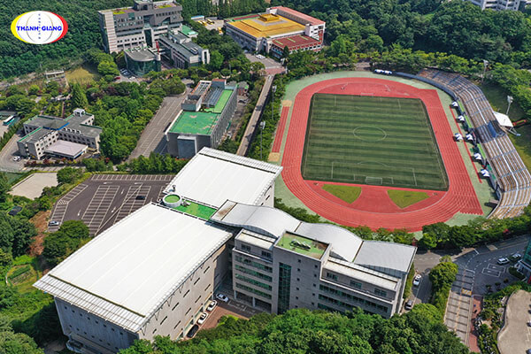 đại học yongin