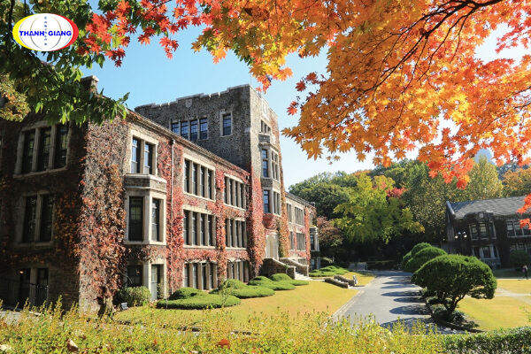 Một số đặc điểm nổi bật về trường Đại học yonsei