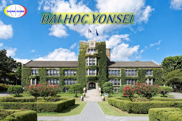 đại học yonsei