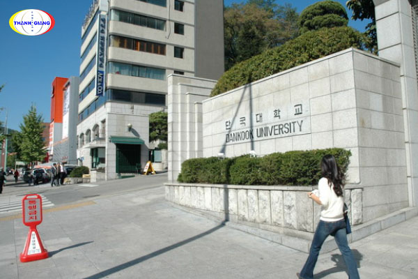  Chương trình đào tạo của trường Đại học Dankook