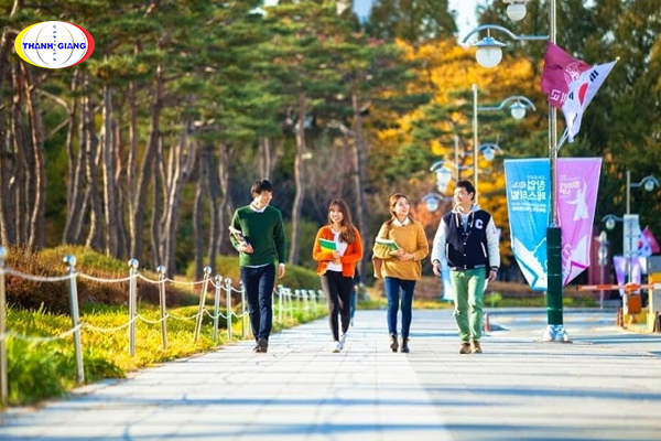 Du học Hàn Quốc tại Hải Phòng