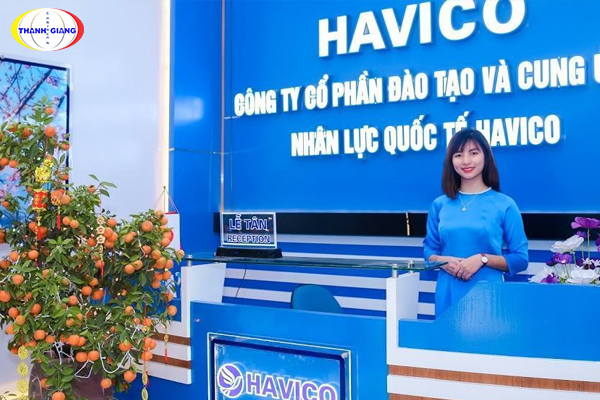 Trung tâm đào tạo du học Havico