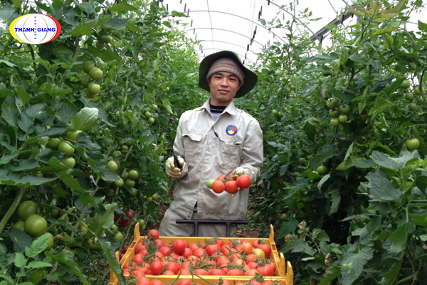 Du học Nhật Bản ngành nông nghiệp