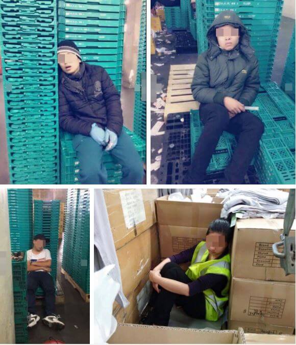 giấc ngủ vội vàng của du học sinh