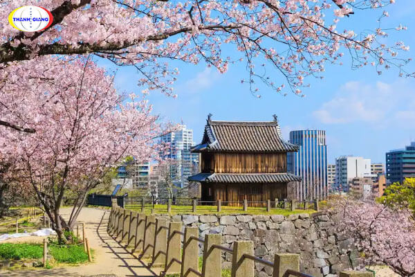 Khám phá một chút về Fukuoka Nhật Bản