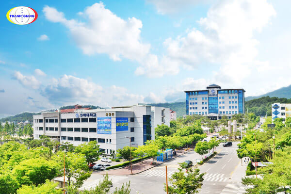 Gumi University Gumi University