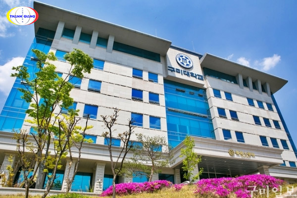 Gumi University Gumi University