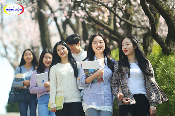 Chương trình đào tạo của Đại học Hannam Hàn Quốc