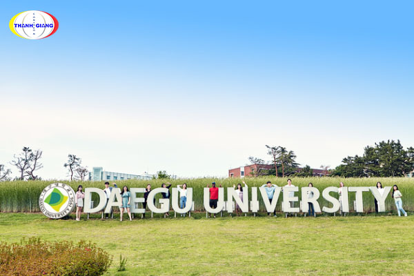 Chương trình Học bổng - Học phí trường Daegu
