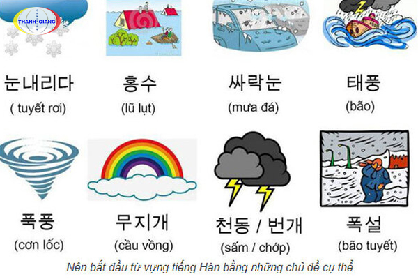 Học và trau dồi từ vựng tiếng Hàn theo chủ đề