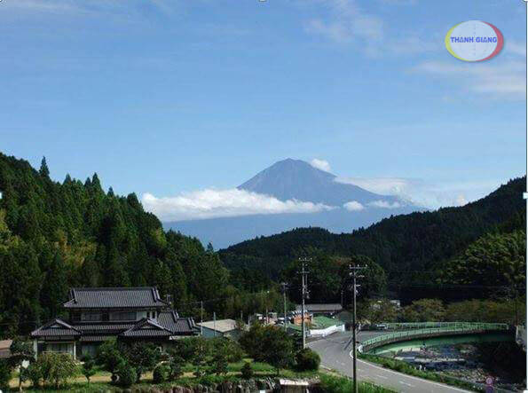 Học Viện Văn Hóa Quốc Tế A.C.C