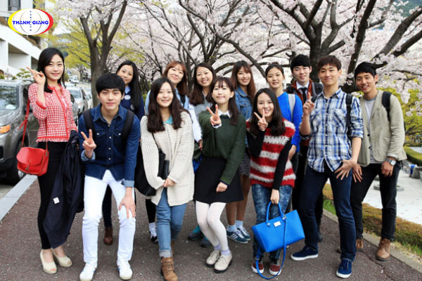 Các chương trình đào tạo của Trường nhật ngữ International Foreign Language School
