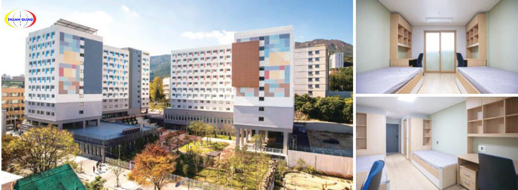 Ký túc xá tại trường Đại học Quốc gia Busan