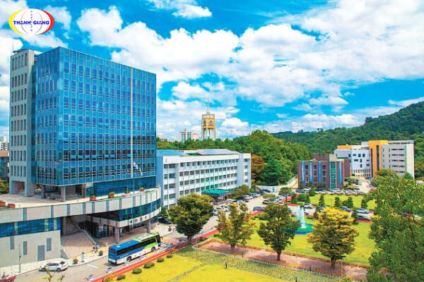chương trình đào tạo của Đại học Kongju Hàn Quốc