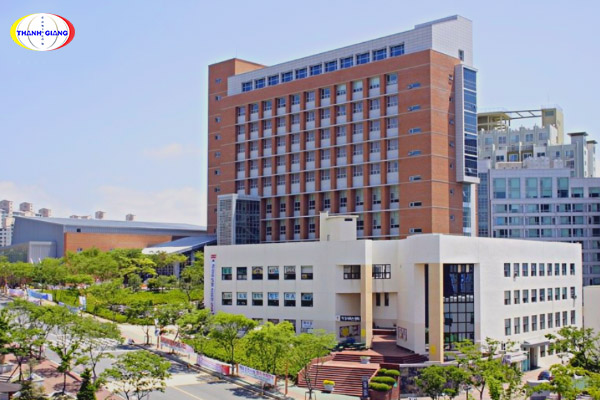 Tìm hiểu về trường Đại học Kyungsung Tìm hiểu về trường Đại học Kyungsung