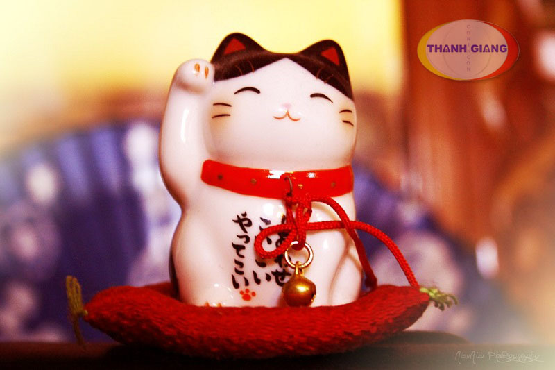 M&egrave;o Thần t&agrave;i Trắng 