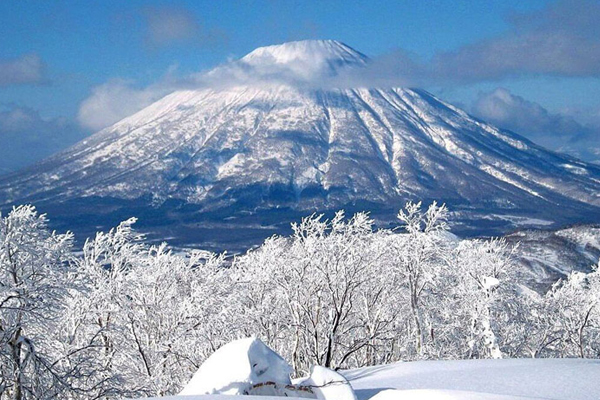 M&ugrave;a đ&ocirc;ng nhật bản