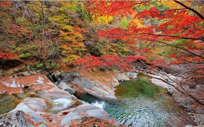 m&ugrave;a thu tại h&agrave;n quốc