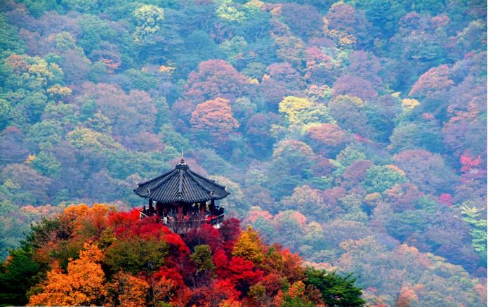 mua thu tại h&agrave;n quốc