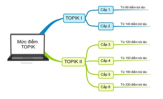 mức điểm nhân chứng chỉ topik