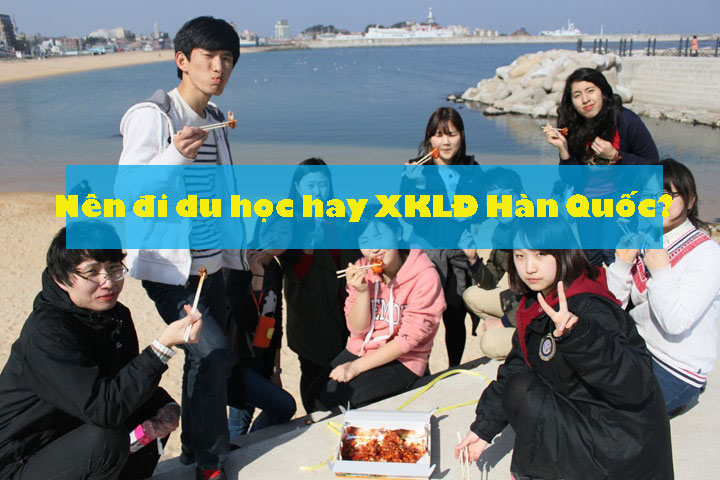 Nên đi du học hay xuất khẩu Hàn Quốc