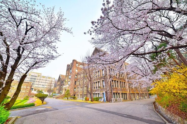 Ngành Truyền thông Đại học Yonsei