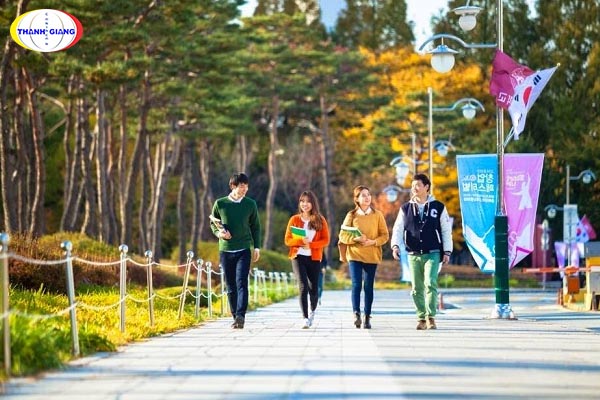 TỔNG HỢP 40 câu hỏi phỏng vấn du học Hàn Quốc thường gặp