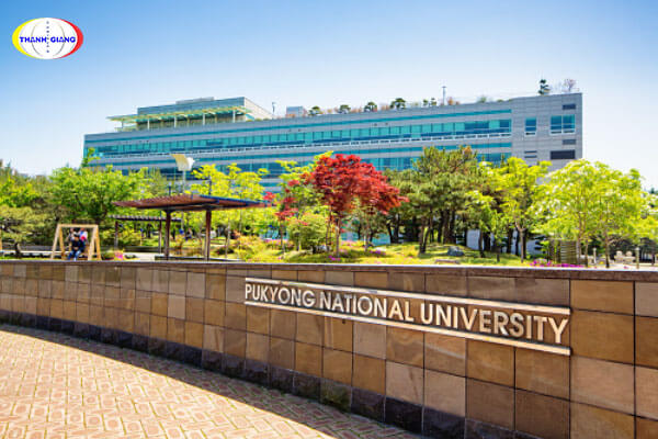 Một số đặc điểm nổi bật của Đại học Pukyong Một số đặc điểm nổi bật của Đại học Pukyong
